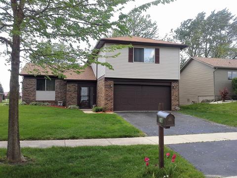 218 Pheasant Rd, Matteson, IL 60443 photo 1