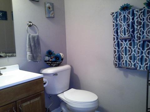 218 Pheasant Rd, Matteson, IL 60443 photo 11
