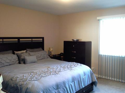 218 Pheasant Rd, Matteson, IL 60443 photo 13