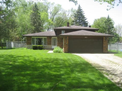 823 Forest Ct, Bartlett, IL 60103 photo 11