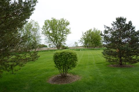 10890 Cape Cod Ln, Huntley, IL 60142 photo 29