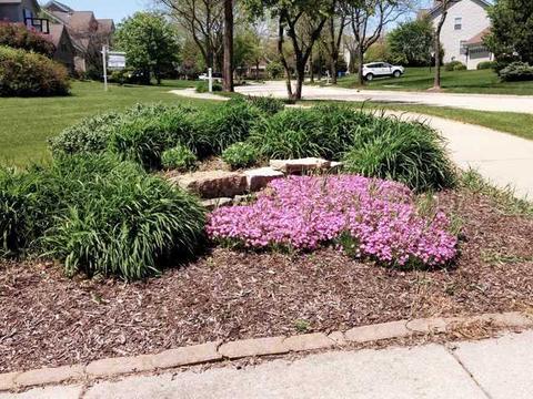 907 Angle Tarn, West Dundee, IL 60118 photo 34