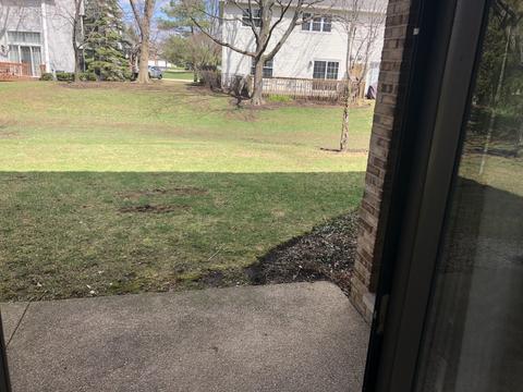107 E Walters Ln #1-B, Itasca, IL 60143 photo 15
