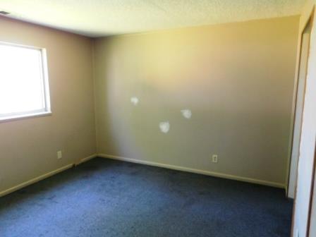 121 N Ash St, Cullom, IL 60929 photo 14