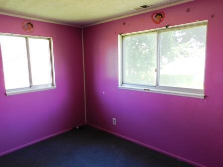 121 N Ash St, Cullom, IL 60929 photo 15