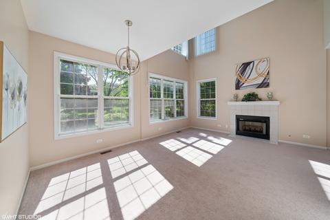 7209 Chestnut Hills Dr, Burr Ridge, IL 60527 photo 3
