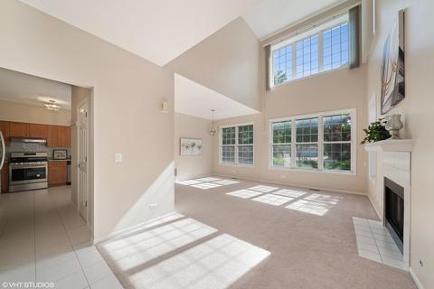 7209 Chestnut Hills Dr, Burr Ridge, IL 60527 photo 2
