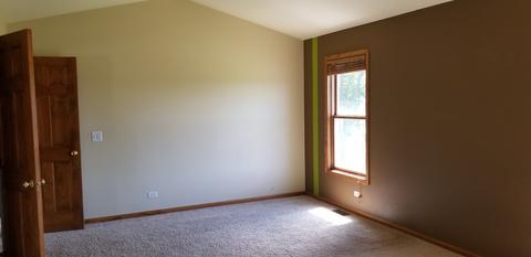 1707 Brixham Ln, Johnsburg, IL 60051 photo 20