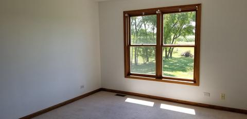 1707 Brixham Ln, Johnsburg, IL 60051 photo 28