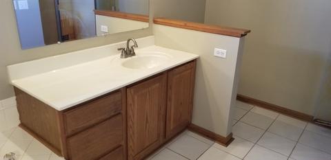 1707 Brixham Ln, Johnsburg, IL 60051 photo 24