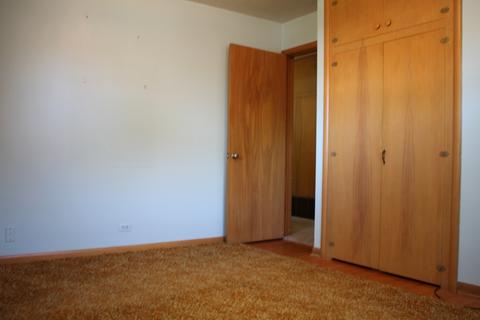 117 N Chase Ave, Bartlett, IL 60103 photo 8