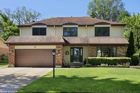 1901 E Seneca Ln, Mount Prospect, IL 60056 photo 1