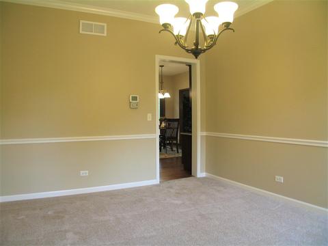 1252 Deerpath Ct, Bartlett, IL 60103 photo 19