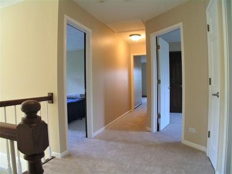 1252 Deerpath Ct, Bartlett, IL 60103 photo 29