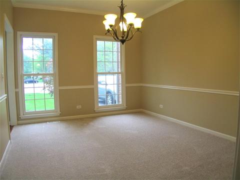 1252 Deerpath Ct, Bartlett, IL 60103 photo 18