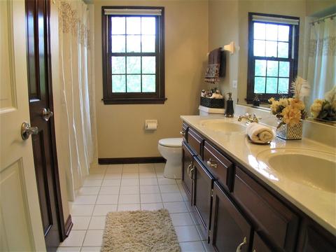 1252 Deerpath Ct, Bartlett, IL 60103 photo 32
