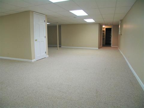 1252 Deerpath Ct, Bartlett, IL 60103 photo 43