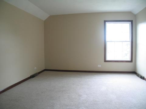 1252 Deerpath Ct, Bartlett, IL 60103 photo 31