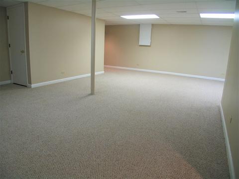 1252 Deerpath Ct, Bartlett, IL 60103 photo 38
