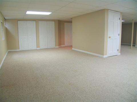 1252 Deerpath Ct, Bartlett, IL 60103 photo 39