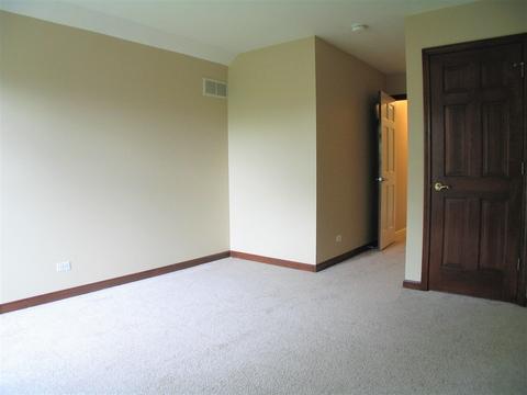 1252 Deerpath Ct, Bartlett, IL 60103 photo 30