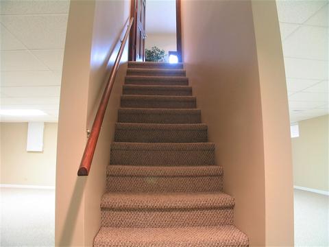 1252 Deerpath Ct, Bartlett, IL 60103 photo 37