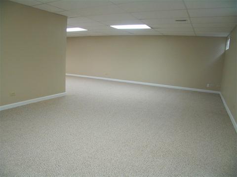 1252 Deerpath Ct, Bartlett, IL 60103 photo 40