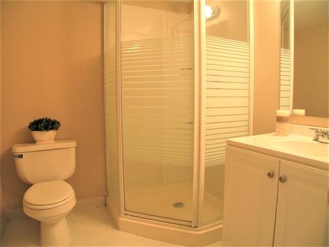 1252 Deerpath Ct, Bartlett, IL 60103 photo 44
