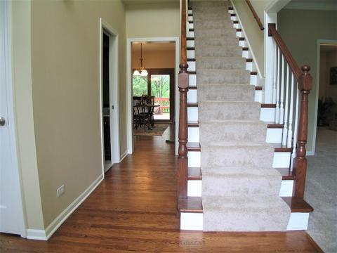 1252 Deerpath Ct, Bartlett, IL 60103 photo 3