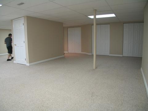 1252 Deerpath Ct, Bartlett, IL 60103 photo 41