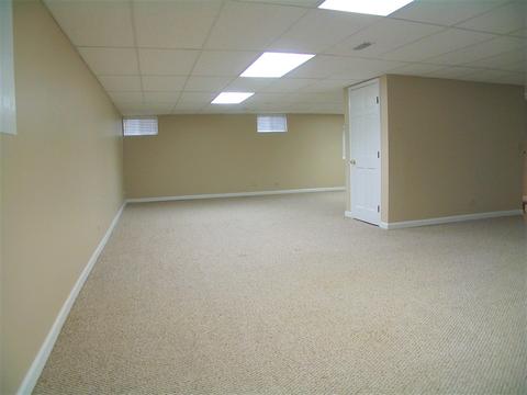1252 Deerpath Ct, Bartlett, IL 60103 photo 42