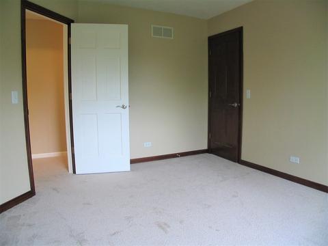 1252 Deerpath Ct, Bartlett, IL 60103 photo 33