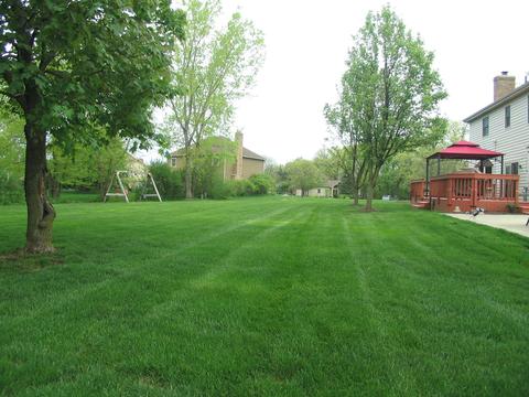 1252 Deerpath Ct, Bartlett, IL 60103 photo 55