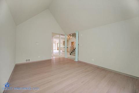 20195 Augusta Dr, Olympia Fields, IL 60461 photo 10