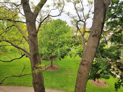 1591 E Thacker St #301, Des Plaines, IL 60016 photo 24