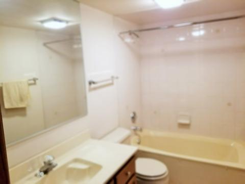 1591 E Thacker St #301, Des Plaines, IL 60016 photo 20