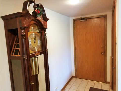 1591 E Thacker St #301, Des Plaines, IL 60016 photo 5