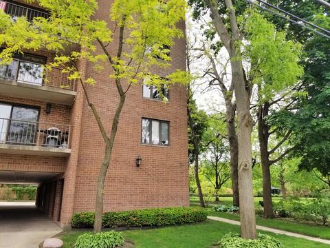 1591 E Thacker St #301, Des Plaines, IL 60016 photo 2