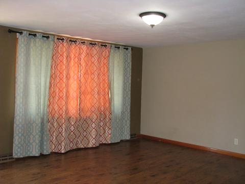 204 W Fillmore St, Philo, IL 61864 photo 3