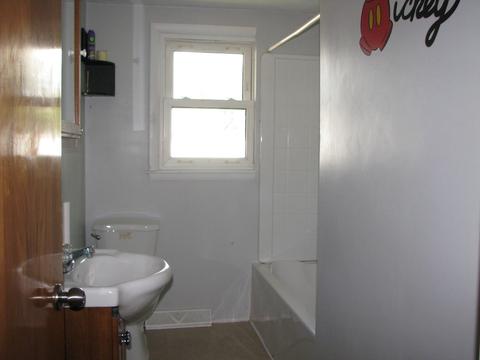 204 W Fillmore St, Philo, IL 61864 photo 17