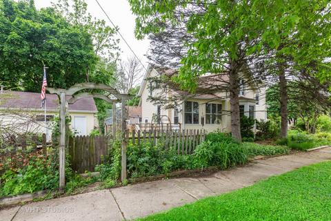 553 Walnut Ave, Elgin, IL 60123 photo 13