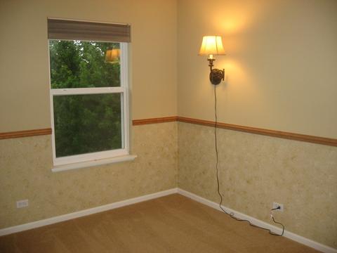 249 Gregory M Sears Dr, Gilberts, IL 60136 photo 16
