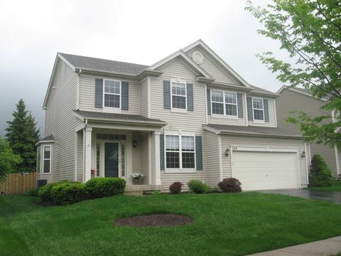 249 Gregory M Sears Dr, Gilberts, IL 60136 photo 24