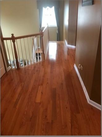 1910 Arbor Gate Dr, Plainfield, IL 60586 photo 21