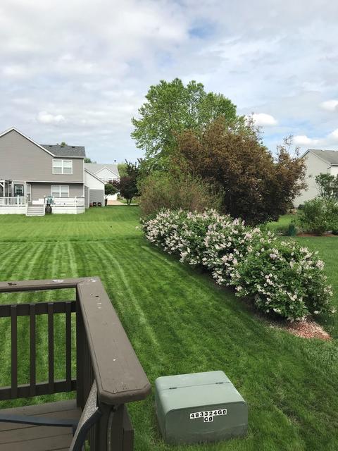 1910 Arbor Gate Dr, Plainfield, IL 60586 photo 2