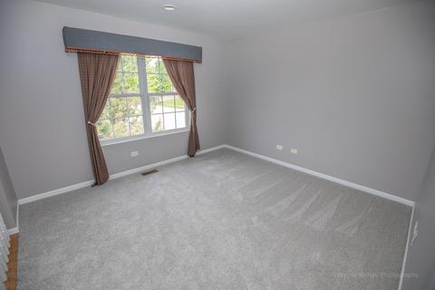 1314 Bridgehampton Dr, Plainfield, IL 60586 photo 17