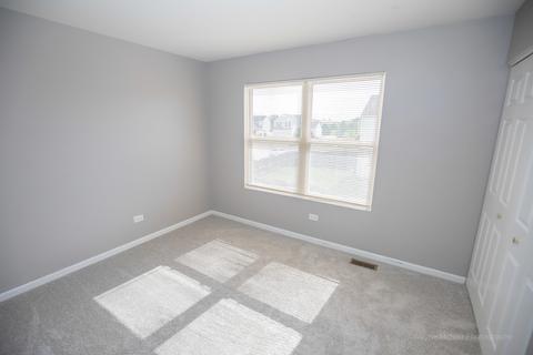 1314 Bridgehampton Dr, Plainfield, IL 60586 photo 18