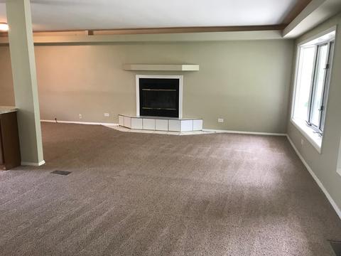 725 Morton St, Hoffman Estates, IL 60169 photo 9