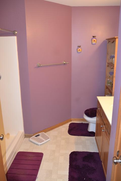 5613 W Sutton Pl #C, Monee, IL 60449 photo 12