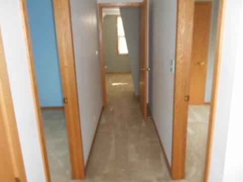 3442 Phillips Ave, Steger, IL 60475 photo 11